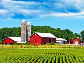Farm